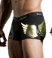 Metallic Wing Trunk